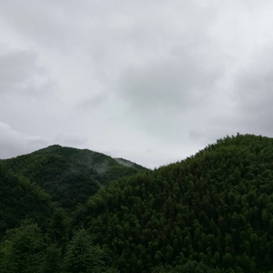 美女脱一光二净视频网站
