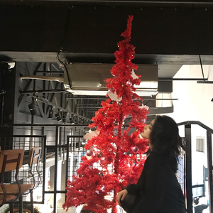 美女脱一光二净视频网站
