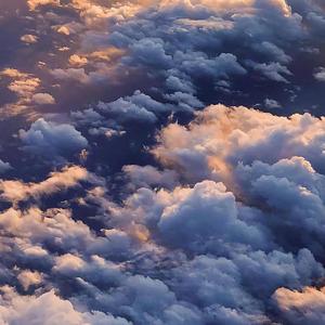 美女脱一光二净视频网站
